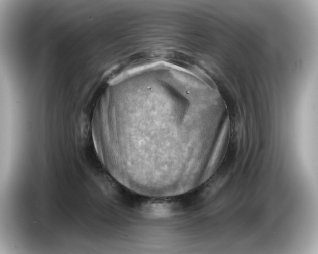 X0000086000228200704091043