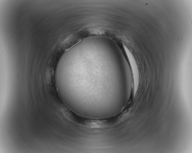 X0000086000229200704091043