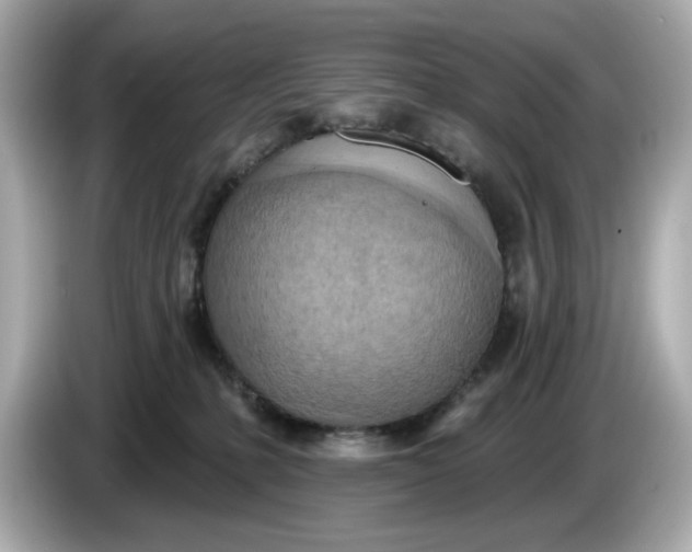 X0000086000231200704091043