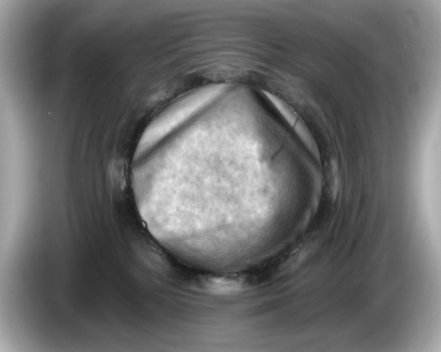 X0000086000232200704091043