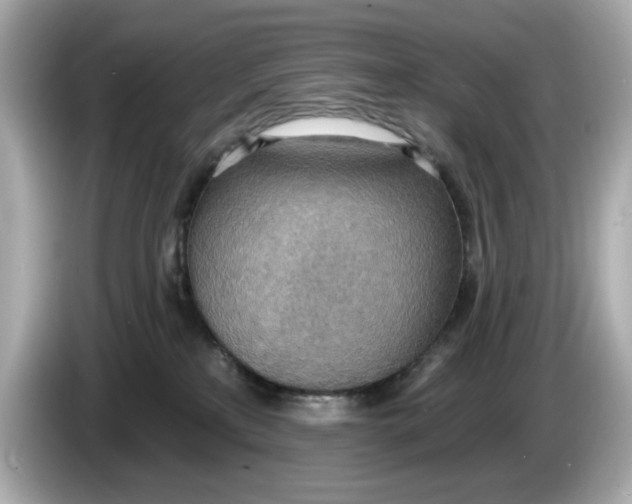 X0000086000233200704091043