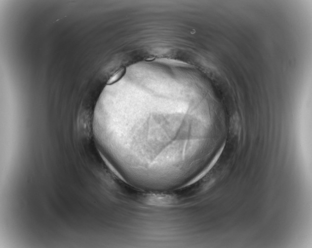 X0000086000234200704091043