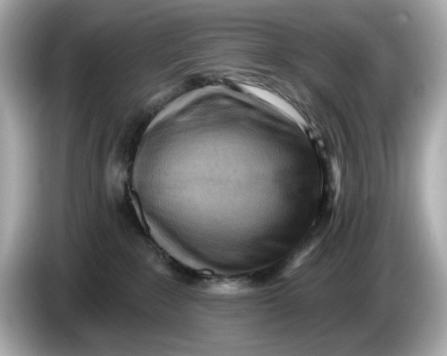 X0000086000235200704091043