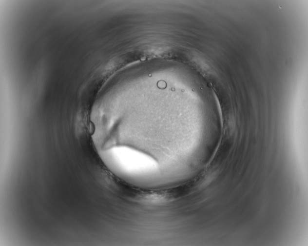 X0000086000236200704091043