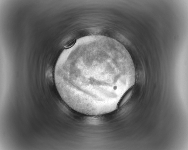 X0000086000238200704091043