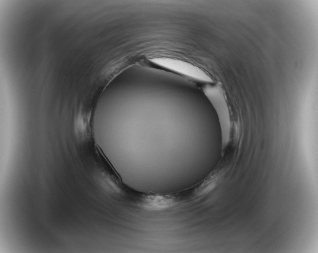 X0000086000239200704091043