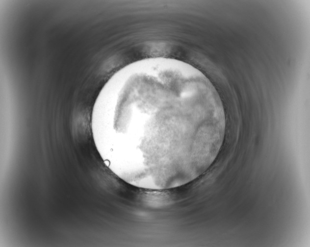 X0000086000240200704091043