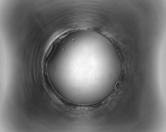 X0000086000242200704091042