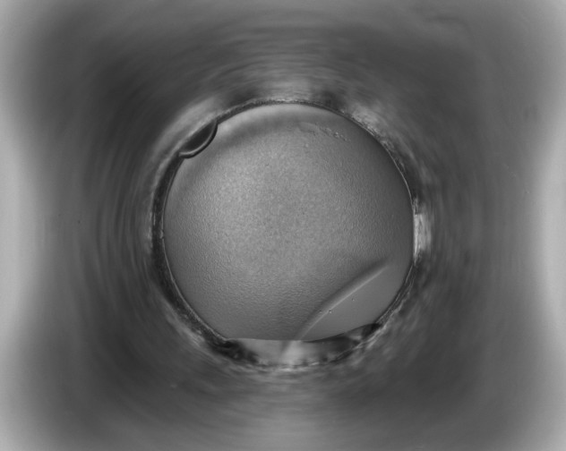 X0000086000243200704091042