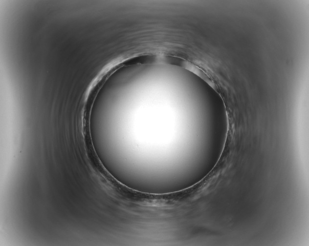 X0000086000244200704091042