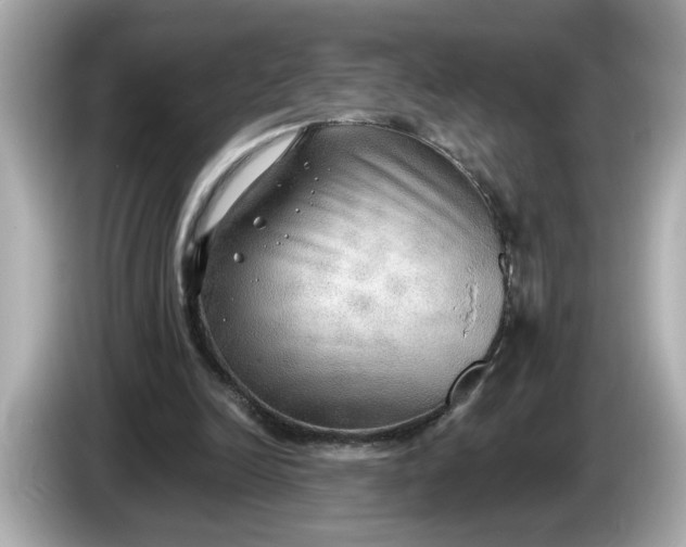 X0000086000246200704091042