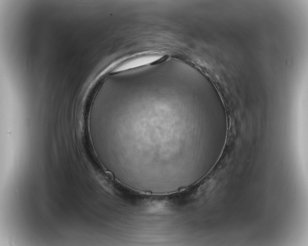 X0000086000247200704091042