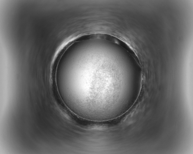 X0000086000248200704091042