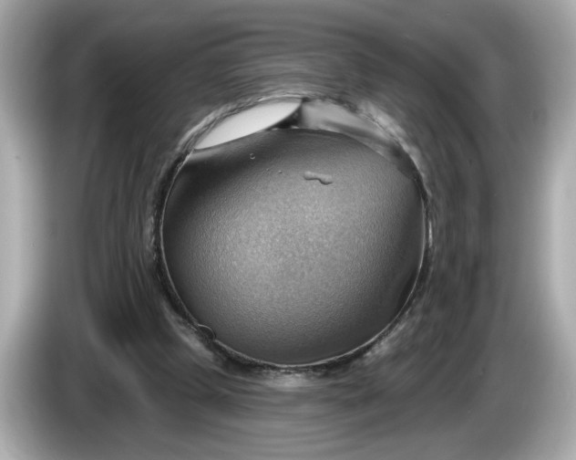 X0000086000249200704091042