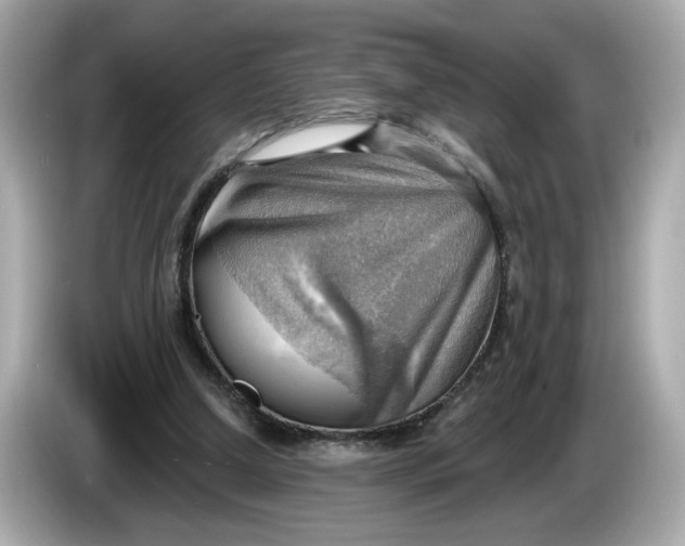 X0000086000250200704091042