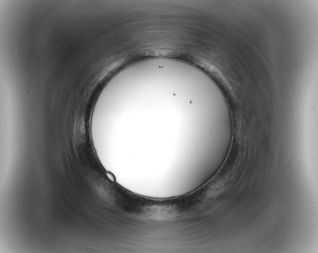 X0000086000251200704091043