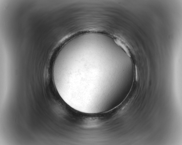 X0000086000252200704091043