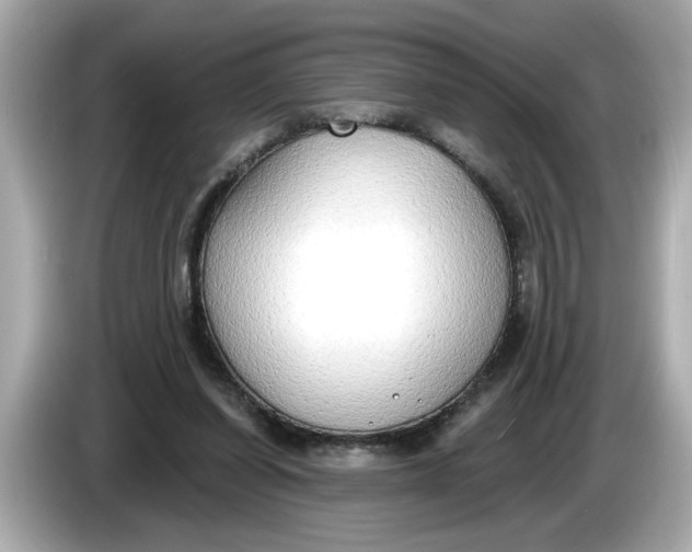 X0000086000254200704091043