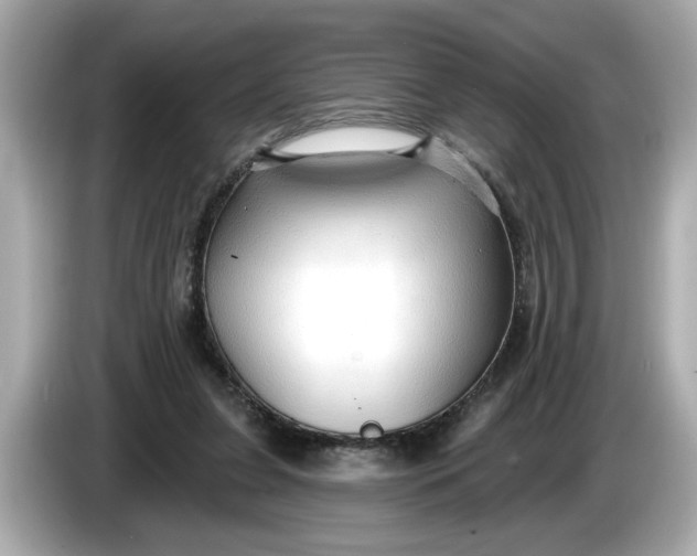 X0000086000255200704091043