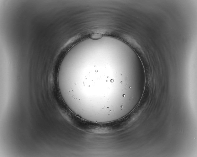 X0000086000256200704091043