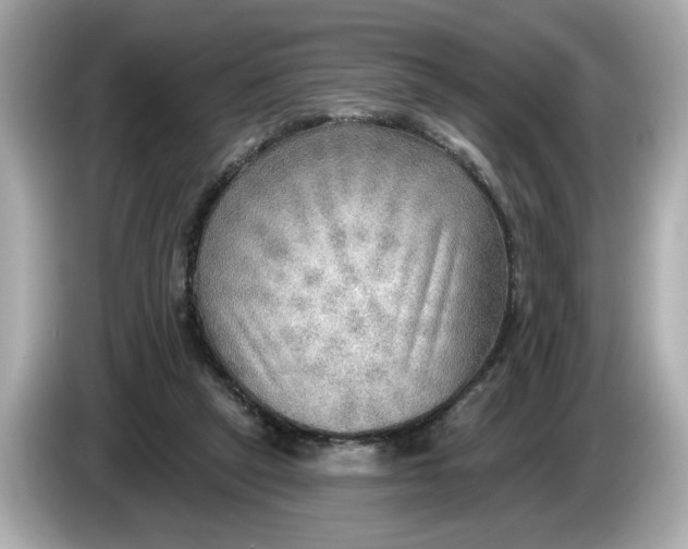 X0000086000257200704091043