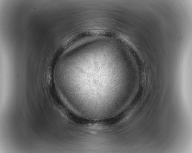 X0000086000259200704091043