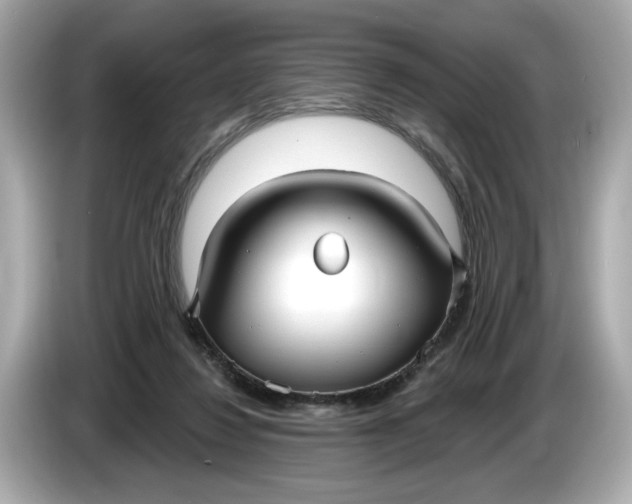 X0000086000260200704091043