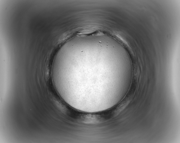 X0000086000261200704091043