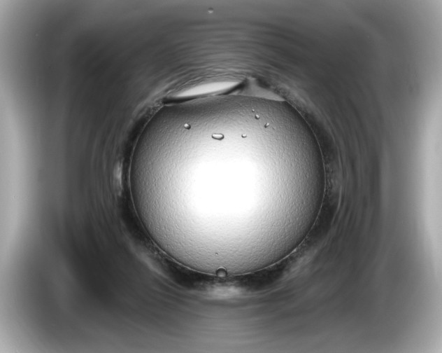 X0000086000262200704091043