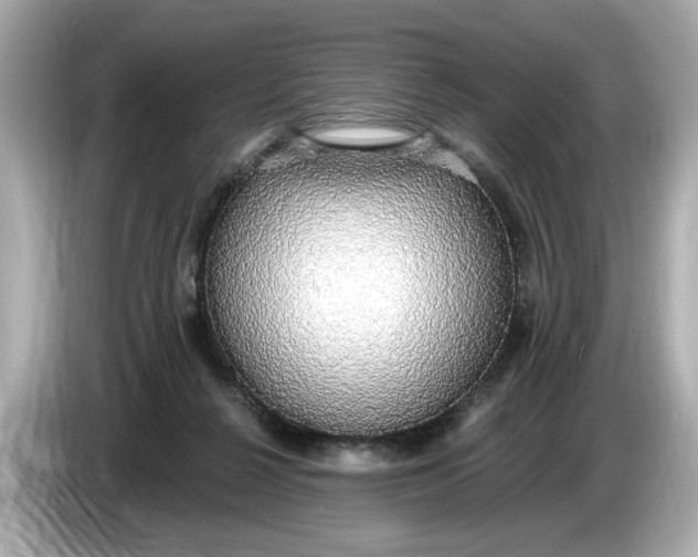 X0000086000264200704091043