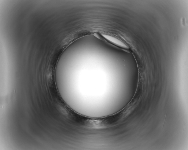 X0000086000265200704091043