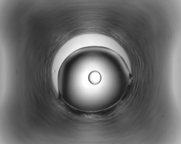 X0000086000268200704091043