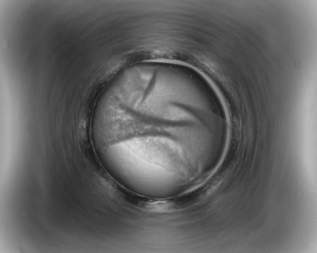 X0000086000269200704091043