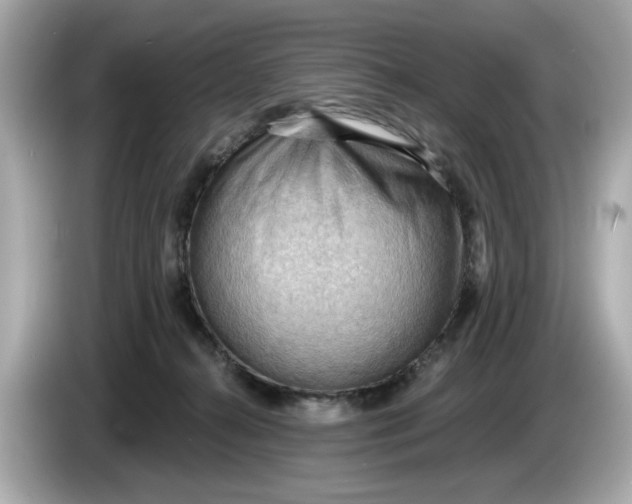 X0000086000272200704091043