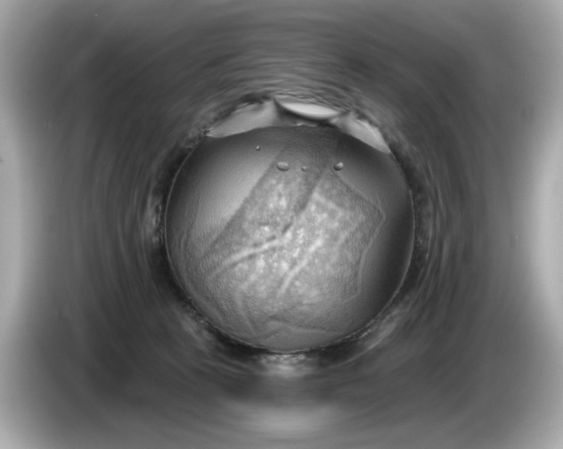 X0000086000273200704091043