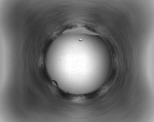 X0000086000274200704091043