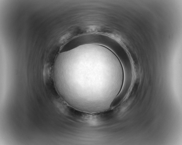 X0000086000276200704091043