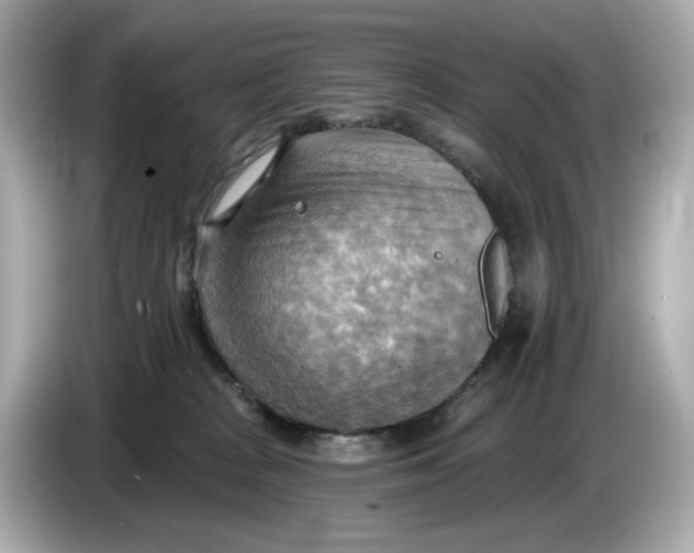 X0000086000277200704091043