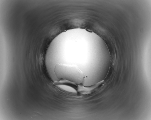 X0000086000279200704091043