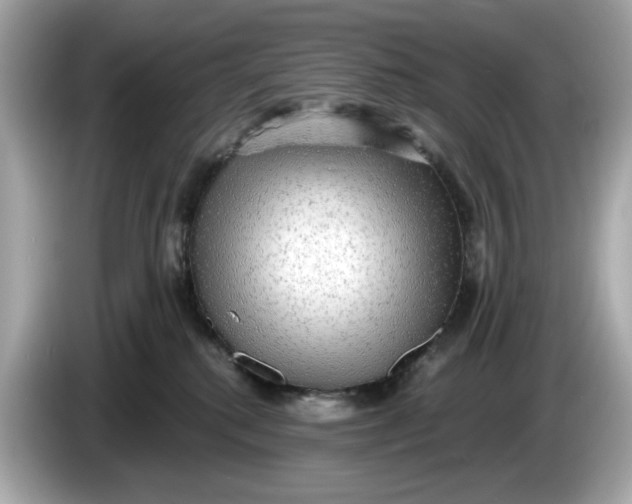 X0000086000280200704091043