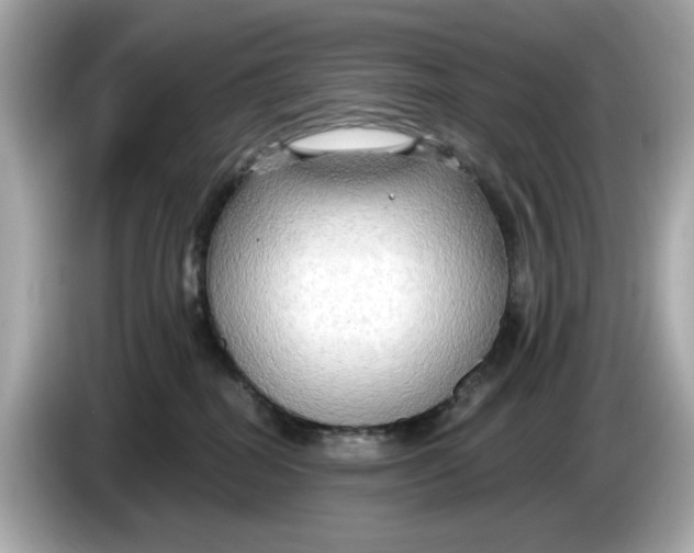 X0000086000282200704091043