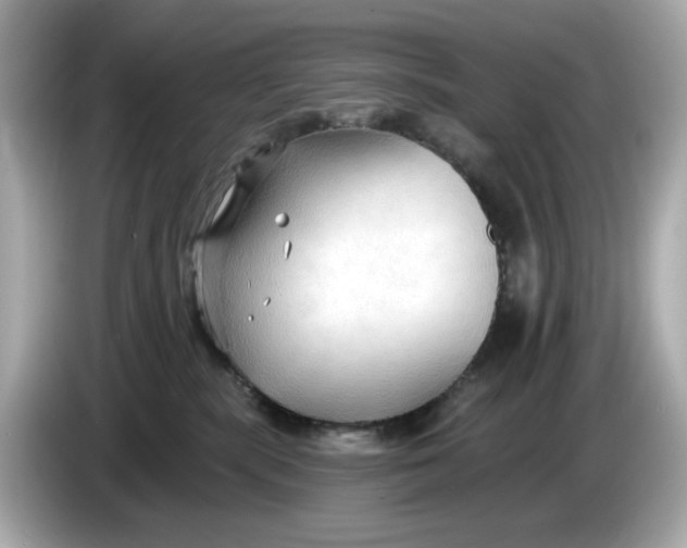 X0000086000283200704091043