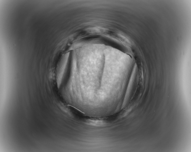 X0000086000284200704091043