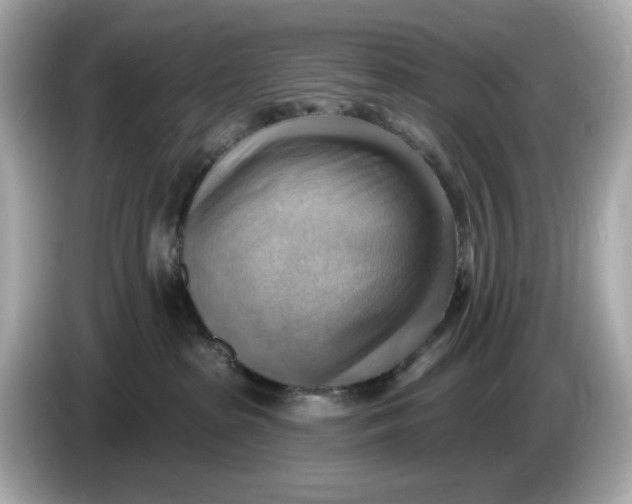 X0000086000285200704091043