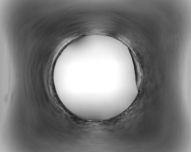 X0000086000289200704091042