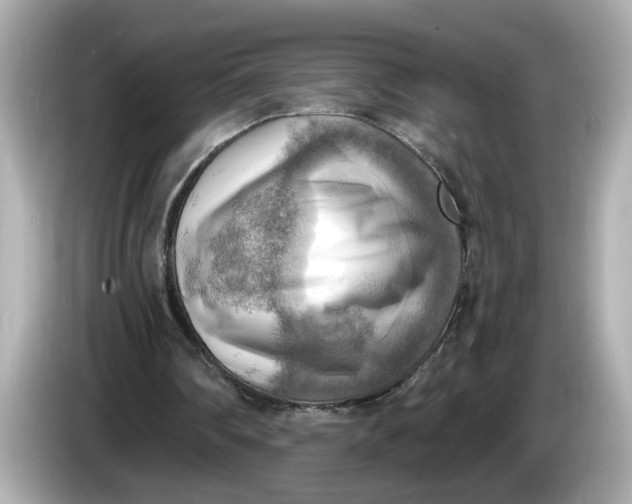 X0000086000290200704091042