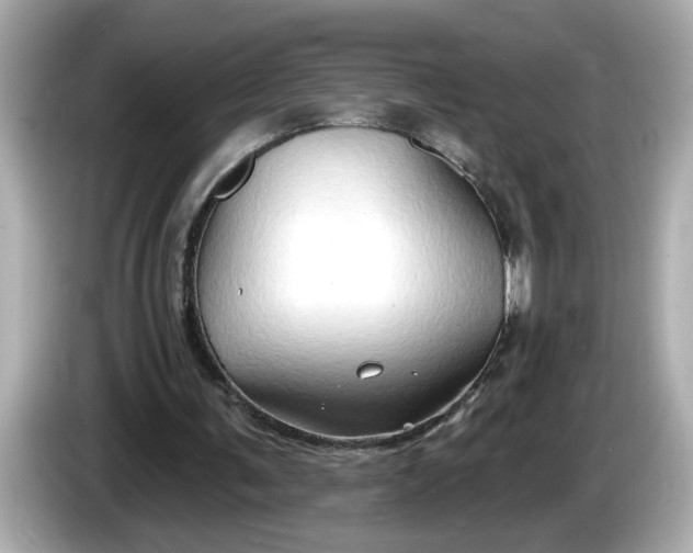 X0000086000291200704091042