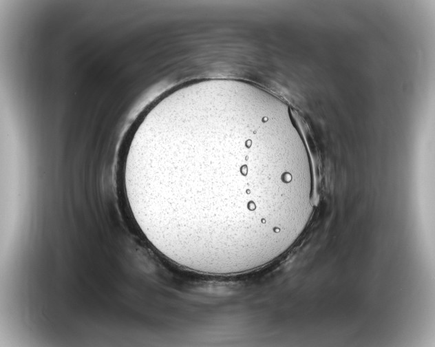 X0000086000292200704091042