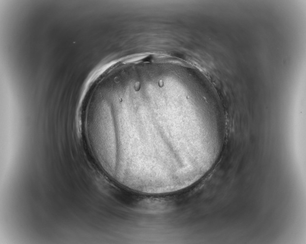 X0000086000294200704091042