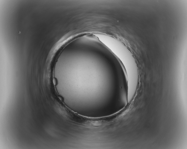 X0000086000295200704091042